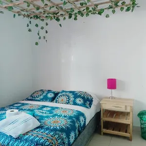 Cat Family Lodging Cartagena